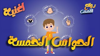 اغنية الحواس الخمسة للاطفال [upl. by Ahsinut]