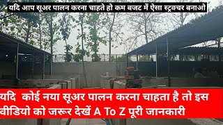 Piggery farm design pig farming in India सूअर पालन कैसे करें how to start pig farming in India [upl. by Sink973]