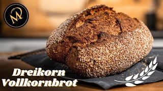 Dreikorn Vollkornbrot selber backen  Gesundes Vollkornbrot Rezept mit Sauerteig [upl. by Odlaniger]