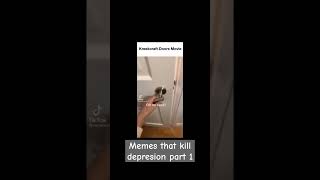 Meme that kill depression part 1 [upl. by Backler]