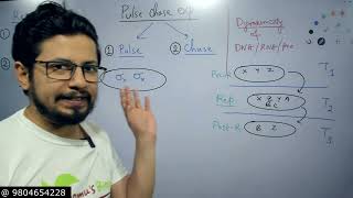 Pulse chase experiment explained [upl. by Averill]