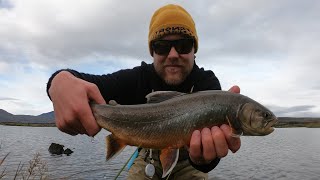 Arctic char fishing in lake Þingvallavatn episode 3 [upl. by Arianie558]