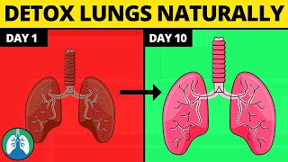 5 Ways to Detox and Cleanse Your Lungs Naturally [upl. by Adlesirc12]