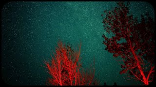 DARK SKY STARGAZING 4K [upl. by Berthoud650]