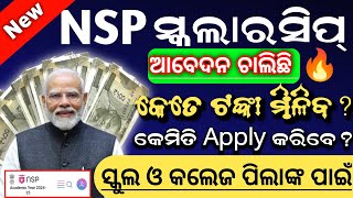 NSP Scholarship New Update  Nsp Scholarship 202425 apply  Nsp Scholarship 202425 Eligibility [upl. by Behlke]