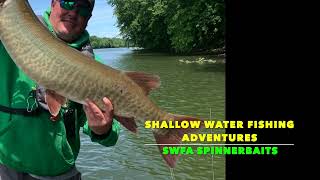 The perfect SPINNERBAIT for RIVER SMALLMOUTH [upl. by Anial237]