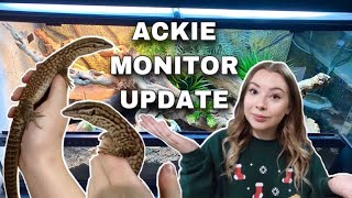 What Happened To My Ackie Monitor [upl. by Naillig]