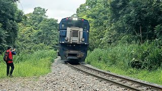 Trens na Ferrovia Curitiba Paranaguá [upl. by Tillinger]