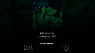 Surah Fussilat Ayat 30 With Urdu Translation Heartfelt Recitation  Alvi Quran Recitation [upl. by Aicelaf]