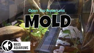 DEHUMIDIFIERS in your FISH ROOM VERY IMPORTANT Open Top Aquariums [upl. by Eeliram]