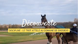 DECOUVERTE Le trot attelé au domaine de Grosbois [upl. by Bywaters]