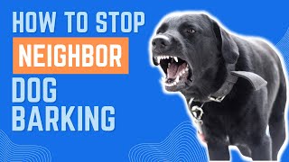 Neighbors Dog Wont Stop Barking Heres How to Solve It [upl. by Lizette]