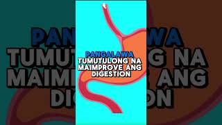 9 NA BENEPISYO NG PAGKAIN NG SAGING ARAWARAW  Healthytips quot [upl. by Brennen570]