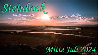 ♑ Steinbock  Mitte Juli 2024 ♑  Vom Regen in die Traufe [upl. by Ahsenot]