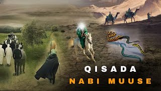 Qisada Nabi Muuse Part 1  Doqonkii Loo Hiiliyay Iyo Wuxu Ku Abaal Guday  Qisooyinka Nabiyada [upl. by Fortunio]