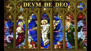 Credo in unum Deum [upl. by Ilyah]