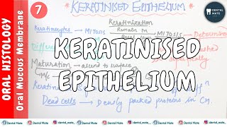 Keratinised Epithelium  Keratinization process  Maturation of keratinocytes  OMM  Dr Paridhi [upl. by Arissa]