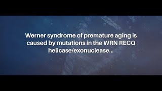 Werner Syndrome RECQ Helicase and Heterochromatin Maintenance in Human Cells  AgingUS [upl. by Gnuj]