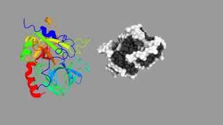 Simulation of the aptamerthrombin binding [upl. by Doownil]