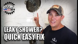 How To Fix a Leaking or Dripping Shower  DIY Replace Shower Cartridge [upl. by Root812]