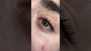 Lash Lift  Tint in Orange County lashlift huntingtonbeach soloesthetician lashliftandtint fyp [upl. by Hernando]