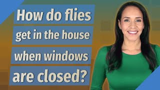 How do flies get in the house when windows are closed [upl. by Augustine773]