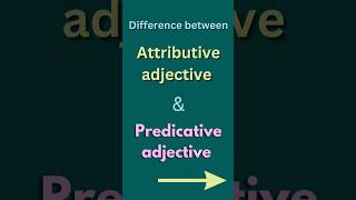 Attributive and predicative adjectiveAttributive examplePredicative example short shorts [upl. by Nedearb273]