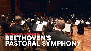 BEETHOVEN 6th Symphony Pastoral 1st Movement  on Original Instruments [upl. by Haily399]