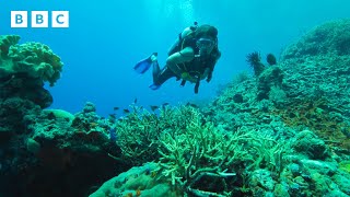 Simon Reeve journeys to Earths GREATEST wildernesses 🌎  Wilderness with Simon Reeve  BBC [upl. by Takara87]