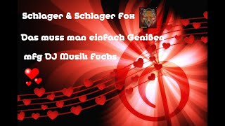 Lass mein Herz los  Gemo  DJ Musik Fuchs Empfehlung [upl. by Un461]