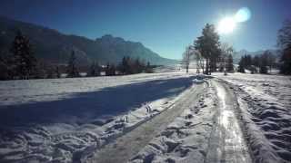 Hirschfütterung in Brunnen bei Schwangau [upl. by Anidnamra410]