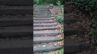 Stairs climbing in Lyme Park [upl. by Nomead430]