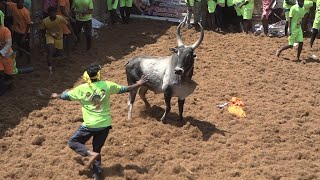 Pallavarayanpatti Jallikattu 2023 Videos 02  பல்லவராயன்பட்டி ஜல்லிக்கட்டு 2023 Videos 02 [upl. by Onifled933]