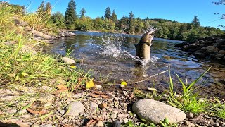 Cowlitz River Bank Fishing [upl. by Mettah]