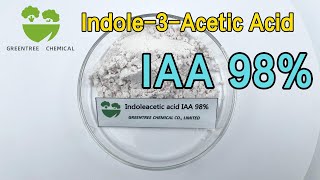 Indole3Acetic Acid IAA 98 Plant Growth Regulators CAS No 87514 Auxin [upl. by Kcerred477]