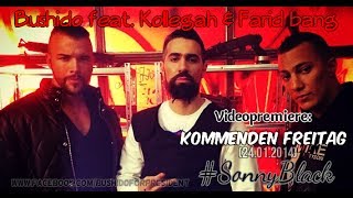 Bushido feat Kollegah amp Farid Bang release 240114 [upl. by Analah]