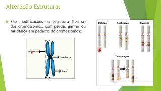 AULAAlterações cromossômicas [upl. by Davis]