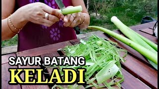 Sayur BATANG KELADI  sabahan style [upl. by Laris461]