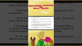 Top Citations du PETIT PRINCE Cest le temps que tu as perdu pour ta rose lepetitprince shorts [upl. by Seidnac]