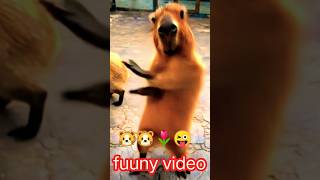 Cute rat baby beautiful dance🐀🐭🌹 ytshorts viralshorts 🍁❤️😜comedyfunnyvieo funny JDK [upl. by Lyred]