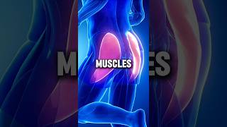 5 Foods You Must Eat if You Want to Grow Your Muscles health healthtips [upl. by Elletnwahs]