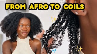 I SHOULD HAVE TRIED THIS SOONER  coil definition on my 4b hair  trying new coiling technique [upl. by Yrrah]