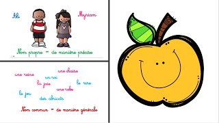 Français CP  le nom commun et le nom propre  leçon de grammaire [upl. by Gerbold821]