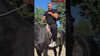 Тайсон kyrgyzstan horse [upl. by Eca41]