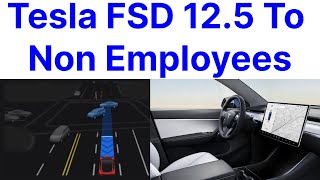 Tesla FSD 125 To Non Employees Nifty Feature [upl. by Newman]