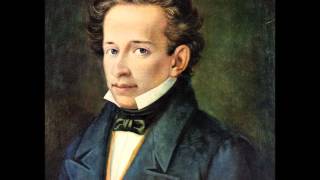 Le ricordanze G Leopardi  voce Roberto Herlitzka [upl. by Hofstetter]