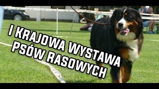 I Krajowa Wystawa Psów Rasowych  Pentowo [upl. by Janice]