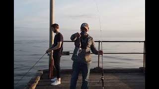 FISHING SPOT VICTORIA MORDIALLOC PIER SALMON FISHING [upl. by Chelsey807]