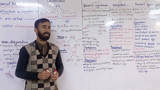 chromosomal mutation  Explain Down Klinefelter and turner syndromes Class 12 ll class 11 faderal [upl. by Caneghem]