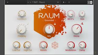 The 3 algorithms of Native Instruments RAUM [upl. by Keraj]